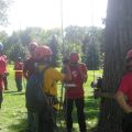2011 Aerial Rescue